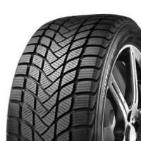 Delinte WD1 215/55R16 97H XL Dubbfritt