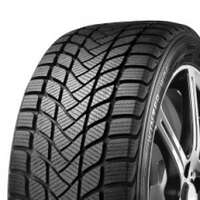 Delinte Winter WD6 245/45R18 100V  Dubbfritt