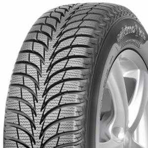 Sava Eskimo Ice 195/55R16 87T FP Dubbfritt