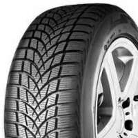 Seiberling Winter 225/55R16 95H  Dubbfritt